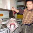 일상탈출여행클럽 이미지