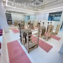 와이필라앤피티 이미지