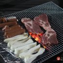 고고씽펜션 이미지