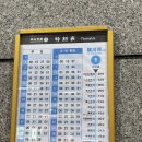 일본 소도시 마쓰야마 여행 바이신지역 가는 법 일몰 후기