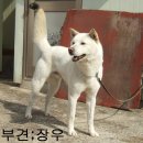 장우