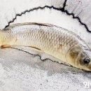 발랑낚시터 이미지