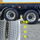프리마 이미지