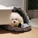 신일환동물병원