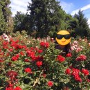 Mac Factory 이미지