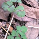 행복소아청소년과의원 이미지