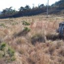 경지 태양광발전소 이미지