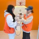 놀러오개 미용센터 | 🐶 [용인 에버랜드] 놀러오개 데이케어 후기