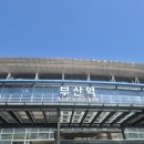부산 당일치기(엘리멘탈, KCC, 모두가 블라블라 등) 이미지