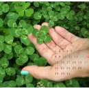 조산목장 이미지