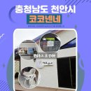 코코넨네 | 천안 가족단위 풀빌라 코코넨네 내돈내산 솔직후기