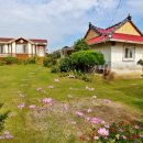 나비텃밭농원 이미지