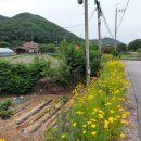 명현농장 이미지