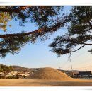 유천서원 | 전(傳) 홍유후(弘儒侯) 설총 묘(薛聰 墓)