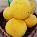 표선보건소 이미지