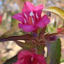 김포서비스(주) | 김포공항 주차비용 공식 주차대행 비용 할인 후기