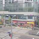 세란정형외과의원 네이버블로그