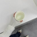 2301 | 슈펜 스틸레토 리본 사이드 슬링백 1.5 HPWWE2301 구매 후기