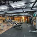 데시앙휘트니스 이미지