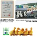 청림농장 Daum카페