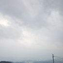 풍차랑 허브랑 이미지