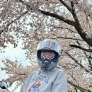 AUTO MS 동울산점 | 바이크 장비들 후기 (헬멧, 바라클라바, 장갑)