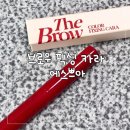카라2 | 에스쁘아 더브로우 컬러 픽싱 카라 추천 2호 토프 사용 후기