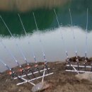 늘푸른낚시 이미지