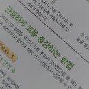 기초부터 배우는 손뜨개(코바늘, 대바늘) 이미지