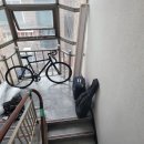 사세충열로 이미지