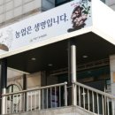 도담동물병원(출장진료전문 동물병원) | 2026년 5월 18일 반려동물 뉴스 스크랩