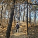 마안산 등산로 화장실 네이버블로그