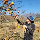 화개악양농협 이미지