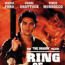 2RING 네이버블로그