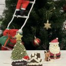 어화댕댕 이미지