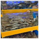 청춘수산 네이버블로그