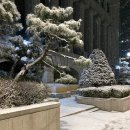 디올디자인 이미지