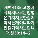 4시30분에시작하는하루.4435. 창30:14-21 이미지