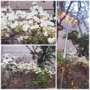 솔로몬도서관 이미지