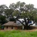 마루주막 이미지