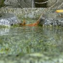 약수 네이버블로그