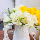 우쿠렐레이야기 이미지