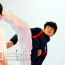 경향태권도 이미지