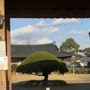 도시락여행_담양,두리농원_20241206(1일)