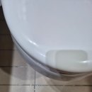 태원더블루원 | 부산 명지 변기 누수로 인한 변기 교체! 바닥 물샘 원인과 해결 과정