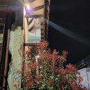 경주 가볼만한곳 《황리단길》