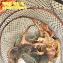 인천 락 실내바다낚시터 이미지