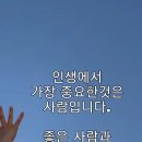 인셀덤퀸 - 완주군 | 인셀덤퀸