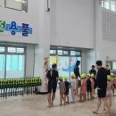 학생수영장 이미지