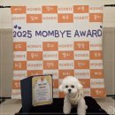 우리들일산점 | 일산강아지유치원 맘바이 일산점, 우리 댕댕이 맡기고 안심한 후기!